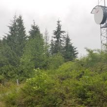 Tower just west / northwest of summit, and within activation zone