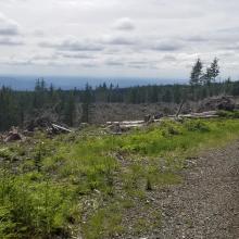 Views looking west ~2.5 miles into hike