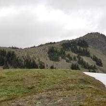 Lost track of trail, but hiking along ridge looking at Eagle Point