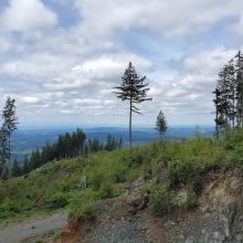 View from summit looking approx. northwest