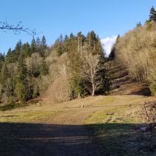 Looking North up steep section of the Pipeline Trail