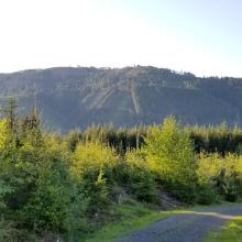 Looking North toward Stimson Hill, on way back from summit