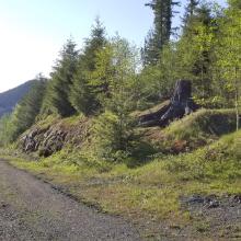 Leave main road, and head right here... ~1.5m into hike.