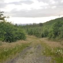 On the way back from summit, approx halfway back to car