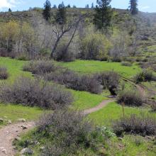 Lower section of trail on the way up