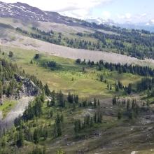 From summit looking back at trail (in right of picture)