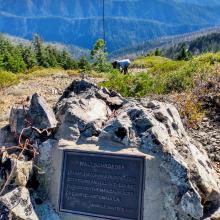 Brandy Peak Summit Plaque