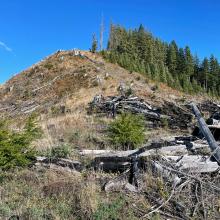 Gold Divide, NC-077, Peak 2730