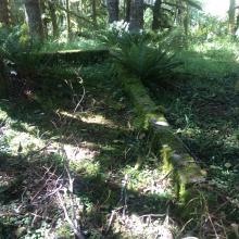 Former fire lookout tower foundation