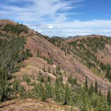 Morrell Mtn on left, GA-084 is in background center of photo/saddle