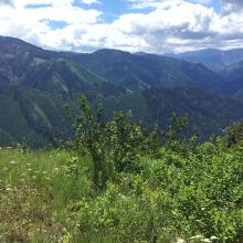 South summit view into White Cap Creek and upper Selway River