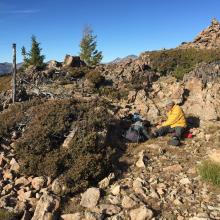 Castle Rock summit view