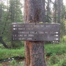 Main Junction above Miner Creek 