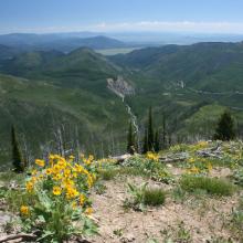 View south down trail to trailhead