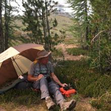 Operating position in the alpine larch and whitebark pine