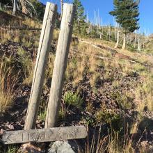 Trail #484 near Windy Pass