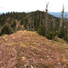 View south to trailhead.  Morrell Lookout is in distance.
