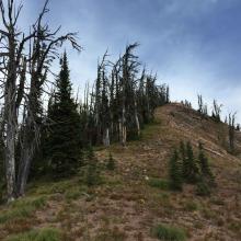 Typical ridgeline hike