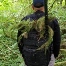 Picking up a hitchhiker