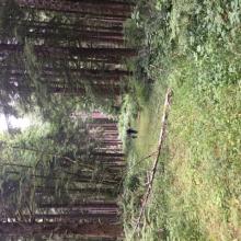 The first 1000 feet of trail