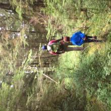 Reminds me of the movie Up!